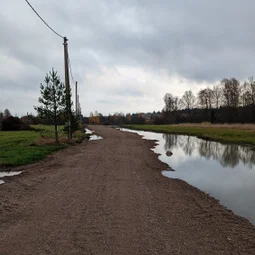 Фото с Прогулка около Виипури