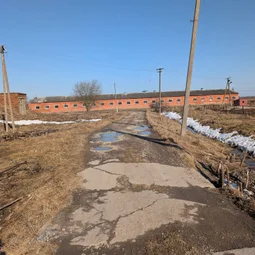 Фото с БК: Первый Весенний