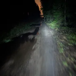 Фото с Вечер: Бургер на Коле
