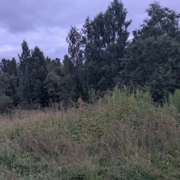 Фото с Вечер: Кованные закуточки