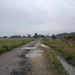 Фото с Старые тропинки Пушкинских Понтонов