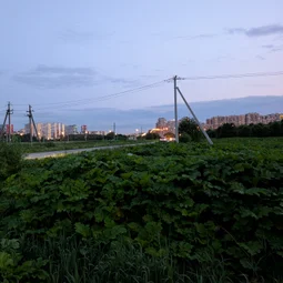 Фото с Вечер: Янинские Огуречные Электробусы