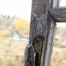 Фото с Прогулка около Виипури