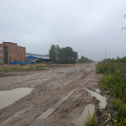 Фото с Старые тропинки Пушкинских Понтонов