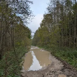 Фото с Радио "Назия"