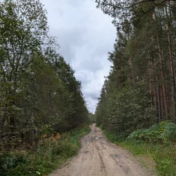 Фото с Осень на все 100