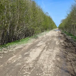 Фото с Волховский фронт