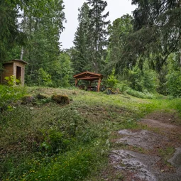 Фото с Выыыборги и то что северней