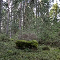 Фото с Киви Выбирает Блинчики