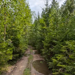 Фото с Киви Выбирает Блинчики
