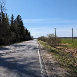 Фото с Приключения в Лесном царстве