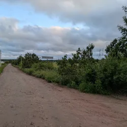 Фото с Вечер: Заросший университет