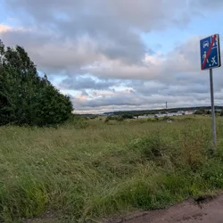 Фото с Вечер: Заросший университет
