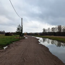 Фото с Прогулка около Виипури