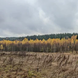 Фото с Прогулка около Виипури