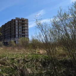 Фото с Волховский фронт