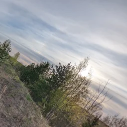 Фото с Волховский фронт