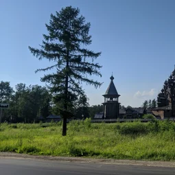 Фото с Победы наши славные