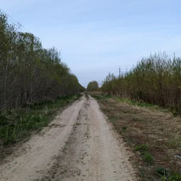 Фото с Волховский фронт