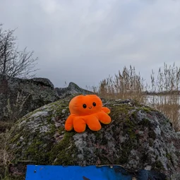 Фото с Экскурсия по маленькой Финляндии