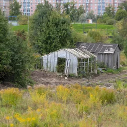 Фото с Малая Родина