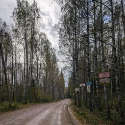 Фото с Осень на все 100