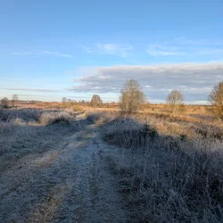Фото с Котельская осень