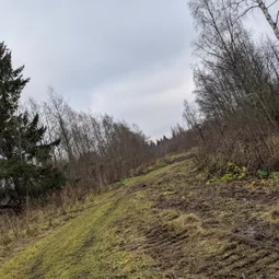 Фото с БК: И ещё раз про узкоколейки...