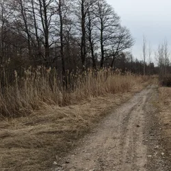 Фото с БК: Finding Beauty