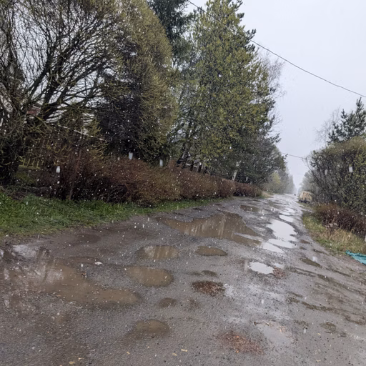Фото с Ручеёк течёт в Саблино