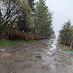 Фото с Ручеёк течёт в Саблино