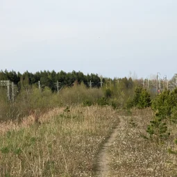 Фото с Волховский фронт