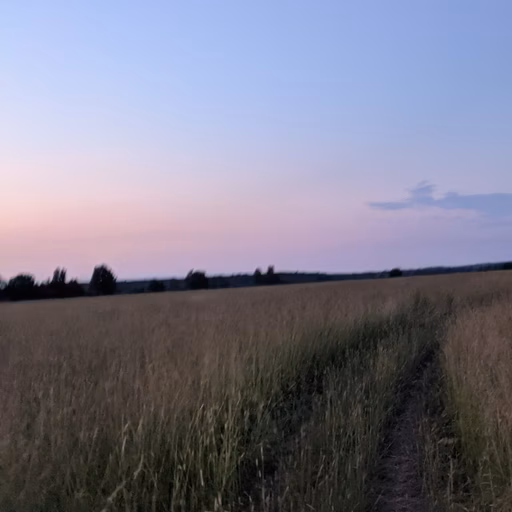 Фото с ПВ: Мега ДУУУБ