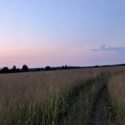 Фото с ПВ: Мега ДУУУБ