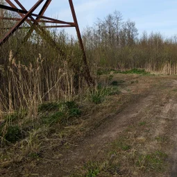 Фото с Волховский фронт
