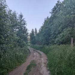 Фото с Вечер: Там за барханами будет озеро