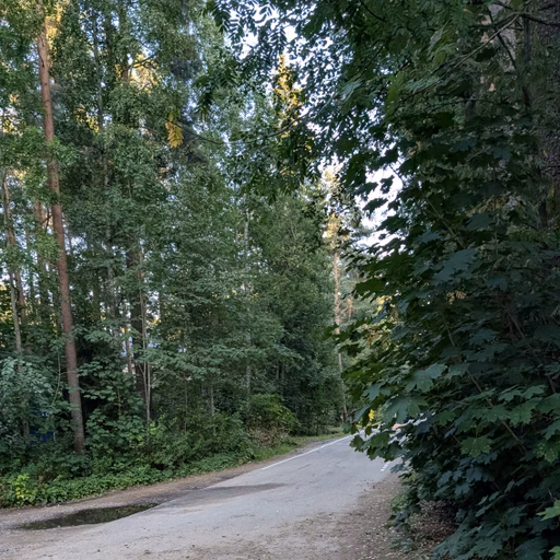 Фото с Вечер: из Зелёной Рощи