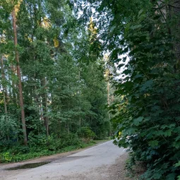 Фото с Вечер: из Зелёной Рощи