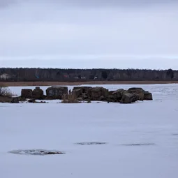 Фото с Весна не у окна