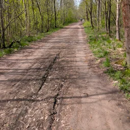 Фото с Субботний классический кружок