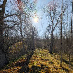 Фото с Котельская осень