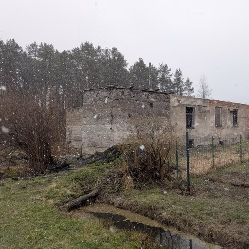 Фото с Ручеёк течёт в Саблино