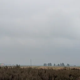 Фото с Старые тропинки Пушкинских Понтонов