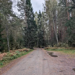 Фото с Осень на все 100