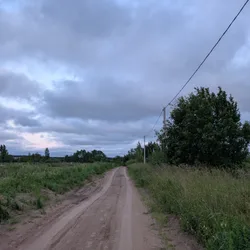 Фото с Вечер: Заросший университет