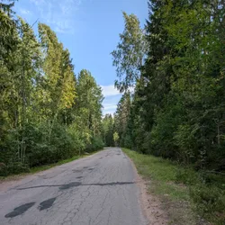 Фото с Киви Выбирает Блинчики
