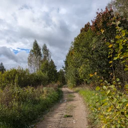 Фото с Осень на все 100