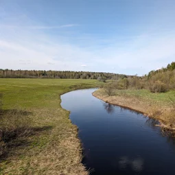 Фото с Приключения в Лесном царстве