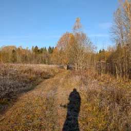 Фото с Котельская осень