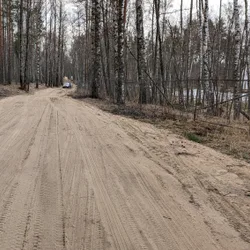 Фото с БК: Finding Beauty